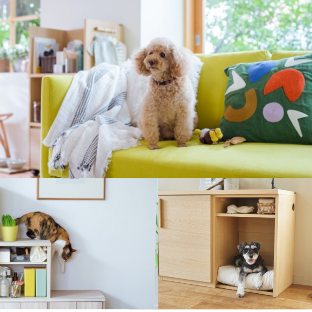 大人気わんにゃんインテリア